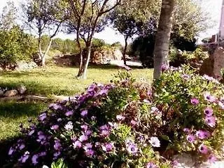 Arcamyrtus Country Holiday Home-1