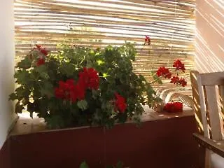 Arcamyrtus Country Holiday Home-2